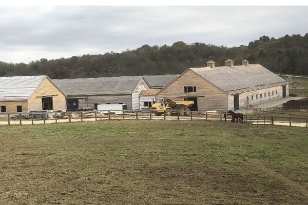 Barn Trees Lightning Protection