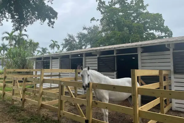 Equestrian Lightning Protection Rods Equestrian Lightning Protection Rods