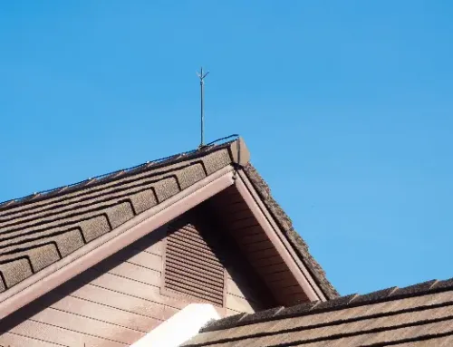 You Can’t Afford to Ignore Lightning Protection